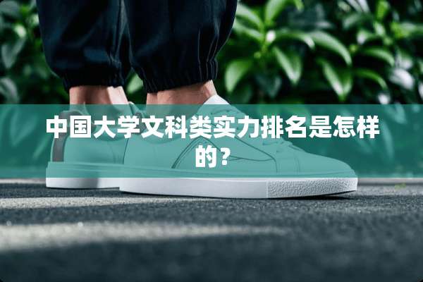 中国大学文科类实力排名是怎样的？