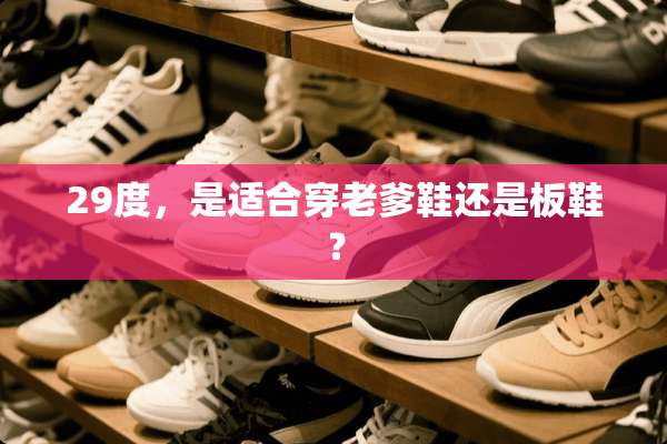 29度，是适合穿老爹鞋还是板鞋？