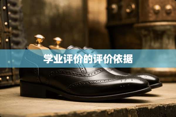 学业评价的评价依据