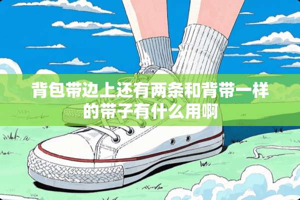 背包带边上还有两条和背带一样的带子有什么用啊