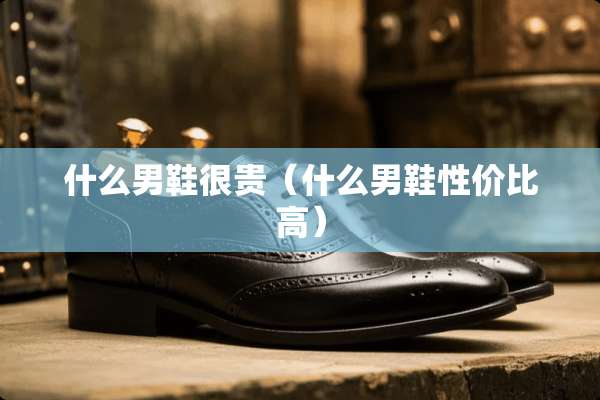 什么男鞋很贵（什么男鞋性价比高）