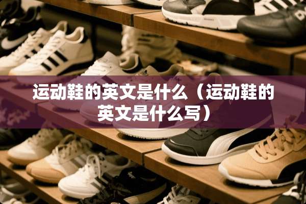 运动鞋的英文是什么（运动鞋的英文是什么写）