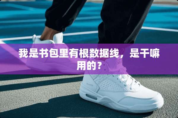 我是书包里有根数据线，是干嘛用的？