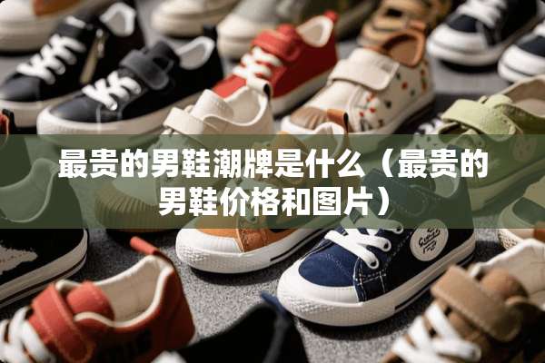 最贵的男鞋潮牌是什么（最贵的男鞋价格和图片）