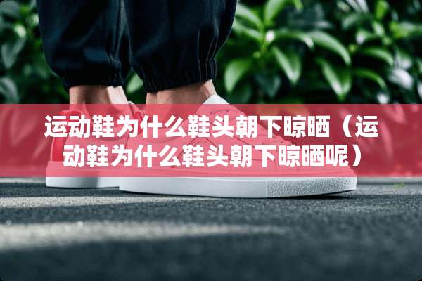 运动鞋为什么鞋头朝下晾晒（运动鞋为什么鞋头朝下晾晒呢）