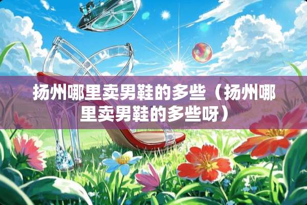 扬州哪里卖男鞋的多些（扬州哪里卖男鞋的多些呀）