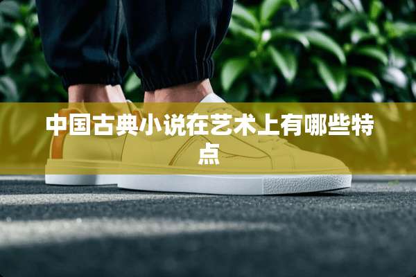 中国古典小说在艺术上有哪些特点