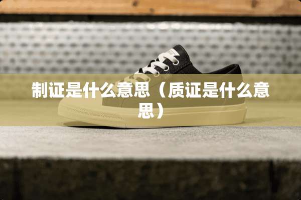 制证是什么意思（质证是什么意思）