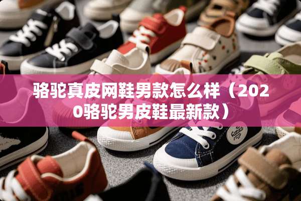 骆驼真皮网鞋男款怎么样（2020骆驼男皮鞋最新款）