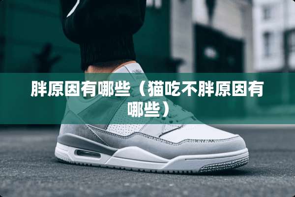 胖原因有哪些（猫吃不胖原因有哪些）