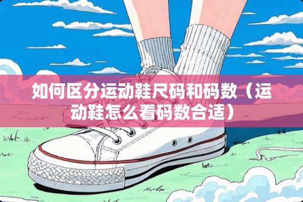 如何区分运动鞋尺码和码数（运动鞋怎么看码数合适）