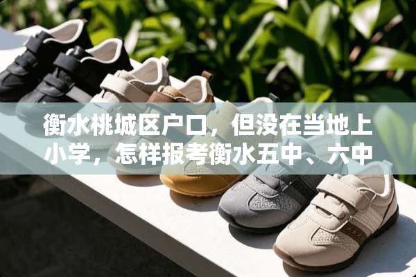 衡水桃城区户口，但没在当地上小学，怎样报考衡水五中、六中或者其它中学？