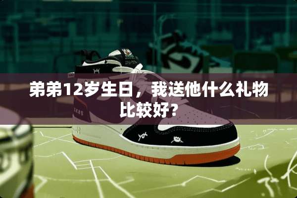 弟弟12岁生日，我送他什么礼物比较好？