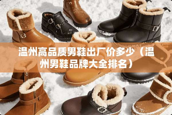 温州高品质男鞋出厂价多少（温州男鞋品牌大全排名）