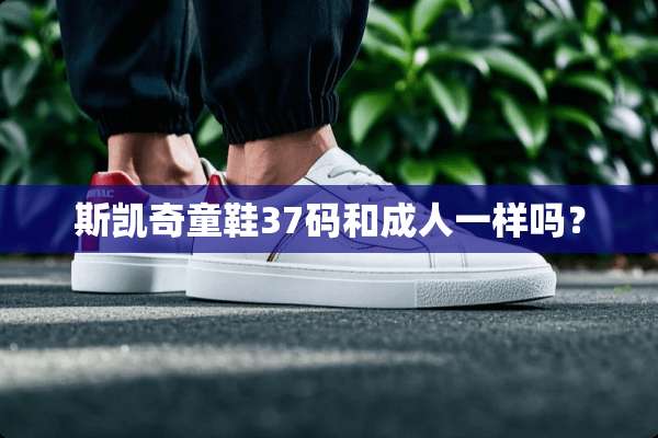 斯凯奇童鞋37码和**一样吗？