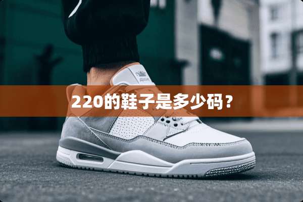 220的鞋子是多少码？