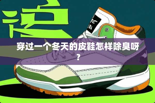 穿过一个冬天的皮鞋怎样除臭呀？