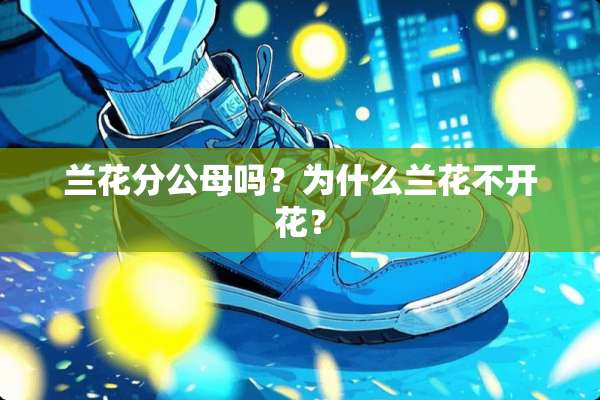兰花分公母吗？为什么兰花不开花？