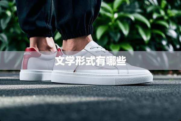 文学形式有哪些
