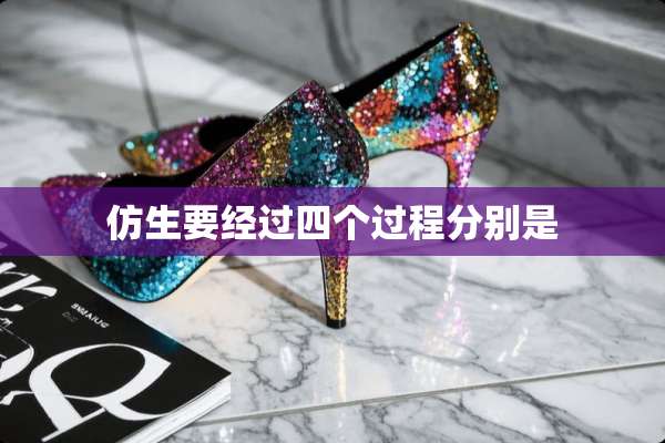 仿生要经过四个过程分别是
