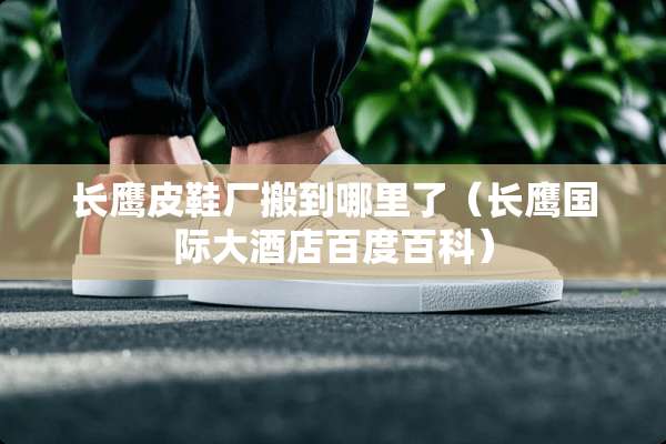长鹰皮鞋厂搬到哪里了（长鹰国际大酒店百度百科）