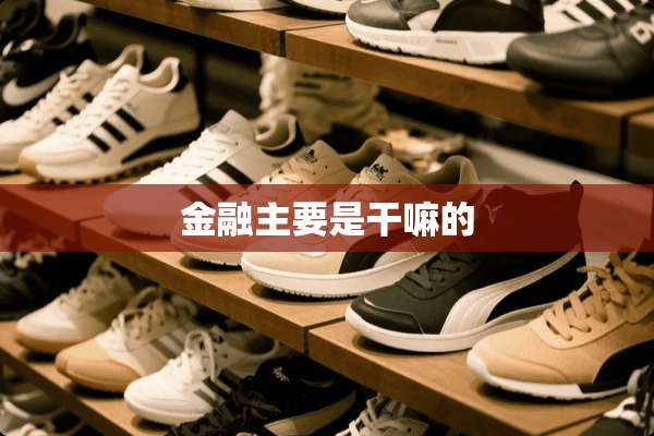 金融主要是干嘛的