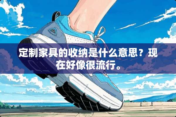 定制家具的收纳是什么意思？现在好像很流行。