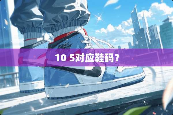 10 5对应鞋码？