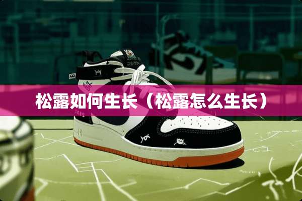 松露如何生长（松露怎么生长）