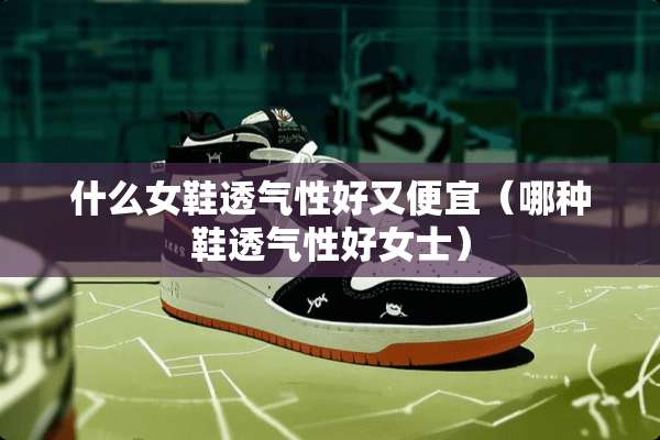 什么女鞋透气性好又便宜（哪种鞋透气性好女士）