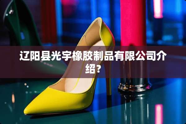 辽阳县光宇橡胶制品有限公司介绍？