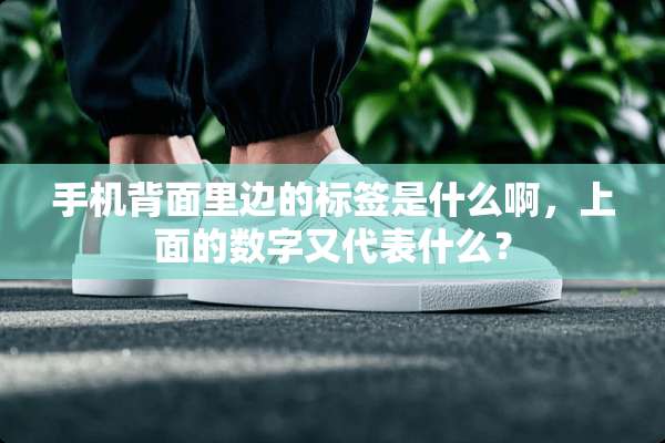 手机背面里边的标签是什么啊，上面的数字又代表什么？