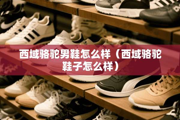 西域骆驼男鞋怎么样（西域骆驼鞋子怎么样）