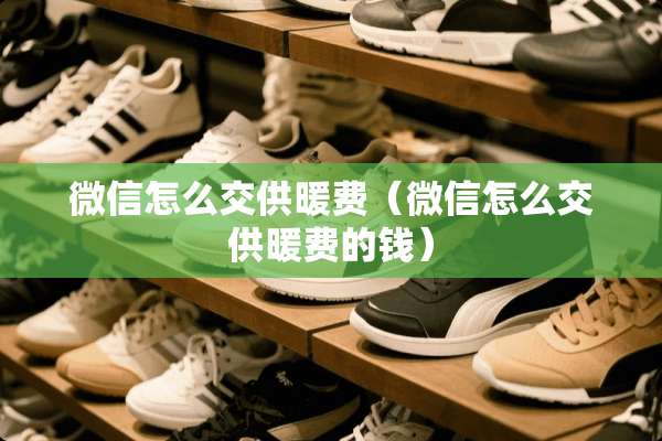 微信怎么交供暖费（微信怎么交供暖费的钱）