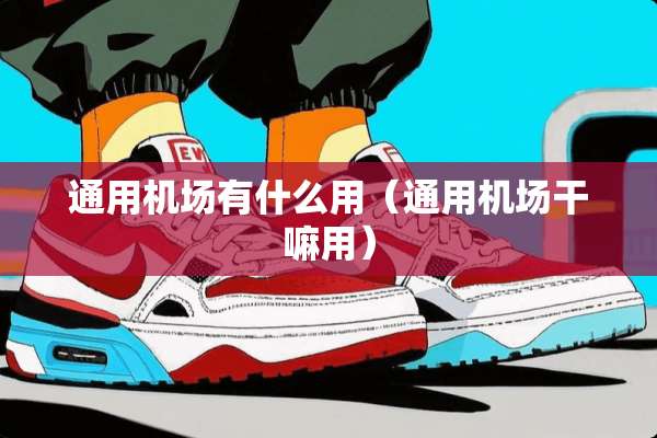 通用机场有什么用（通用机场干嘛用）