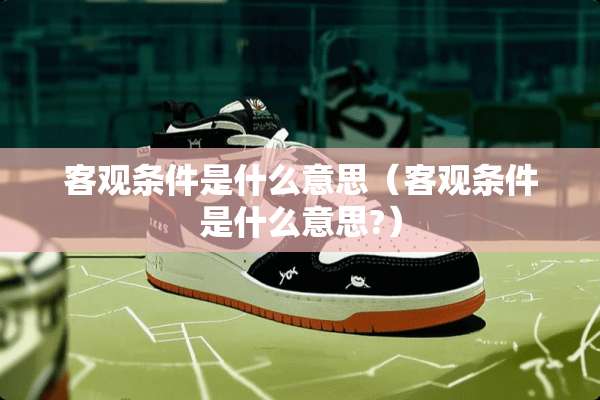 客观条件是什么意思（客观条件是什么意思?）