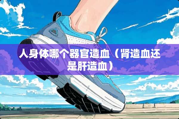 人身体哪个**造血（肾造血还是肝造血）