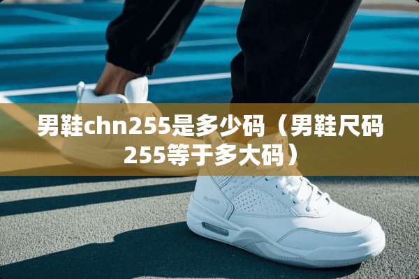 男鞋chn255是多少码（男鞋尺码255等于多大码）