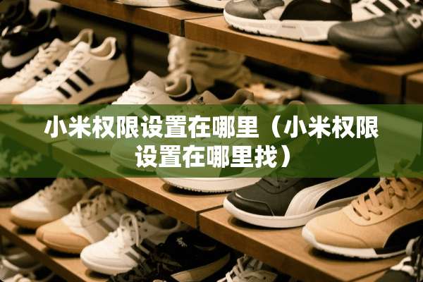 小米权限设置在哪里（小米权限设置在***）