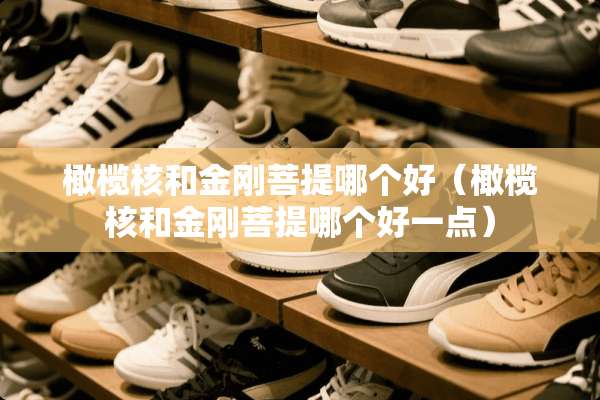 橄榄核和金刚**哪个好（橄榄核和金刚**哪个好一点）