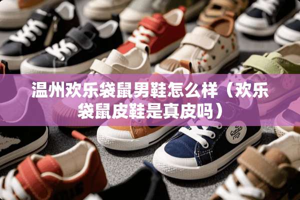 温州欢乐袋鼠男鞋怎么样（欢乐袋鼠皮鞋是真皮吗）
