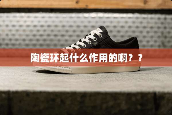 陶瓷环起什么作用的啊？？