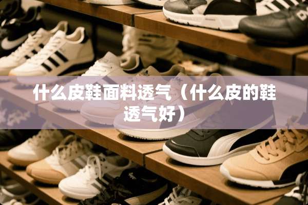 什么皮鞋面料透气（什么皮的鞋透气好）