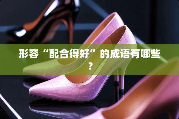 形容“配合得好”的成语有哪些？
