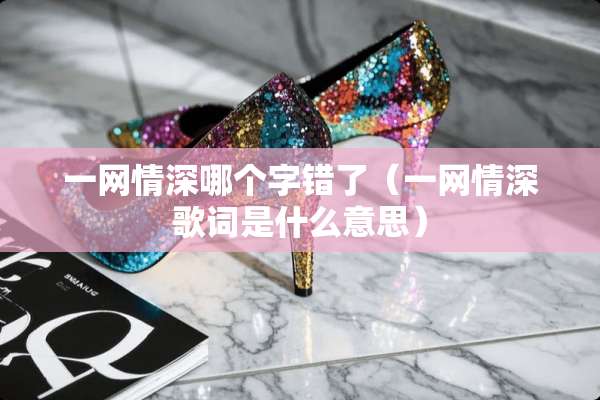 一网情深哪个字错了（一网情深歌词是什么意思）