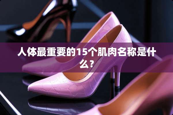人体最重要的15个肌肉名称是什么？