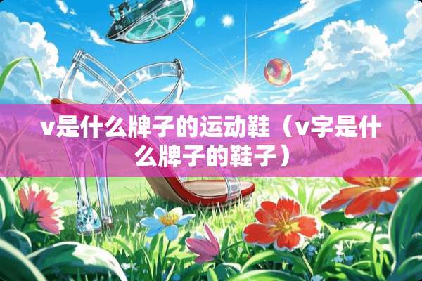 v是什么牌子的运动鞋（v字是什么牌子的鞋子）