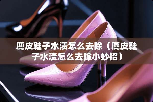 麂皮鞋子水渍怎么去除（麂皮鞋子水渍怎么去除小妙招）