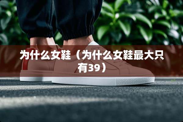 为什么女鞋（为什么女鞋最大只有39）