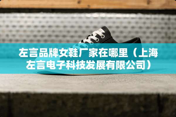 左言品牌女鞋厂家在哪里（上海左言电子科技发展有限公司）